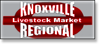 Knoxville Regional